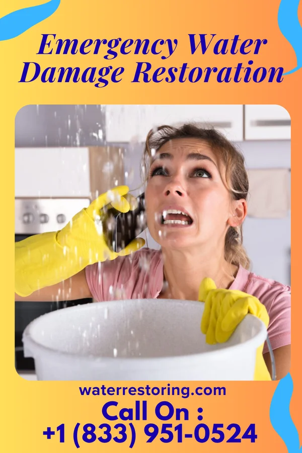 Emergency Water Damage Restoration in West Middletown, PA