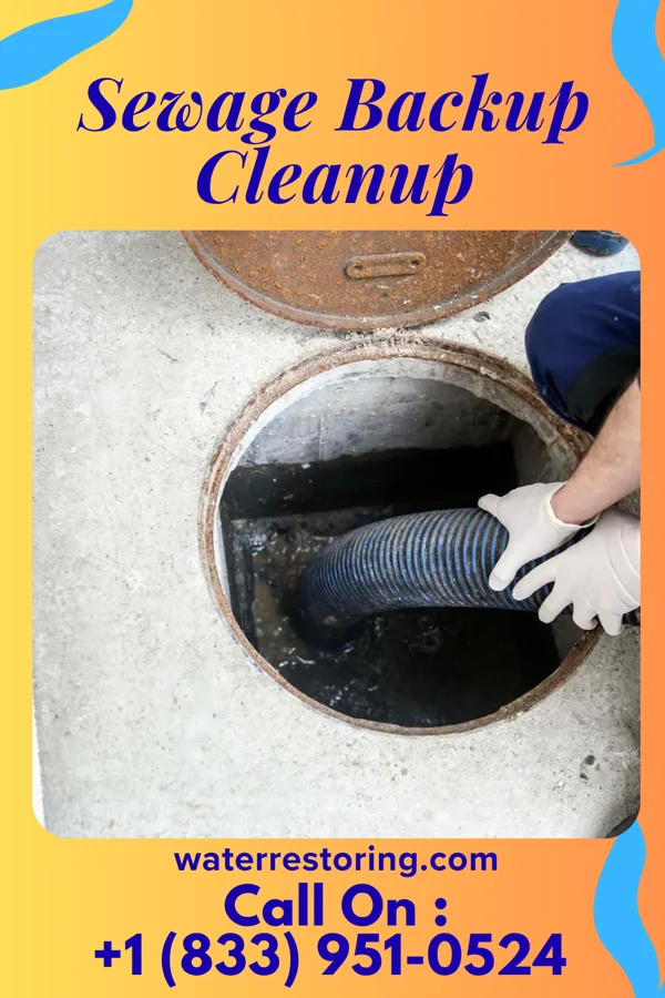 Sewage Backup Cleanup in West Middletown, PA