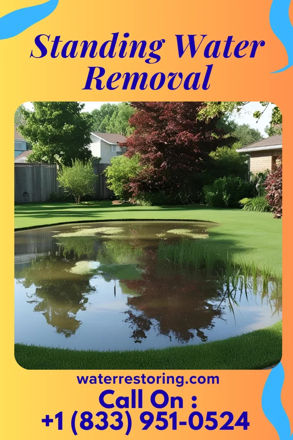 Standing Water Removal in West Middletown, PA